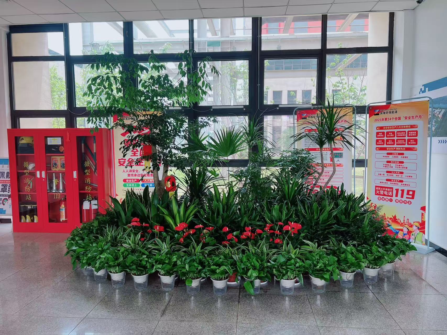 宁波植物租摆公司><div class=